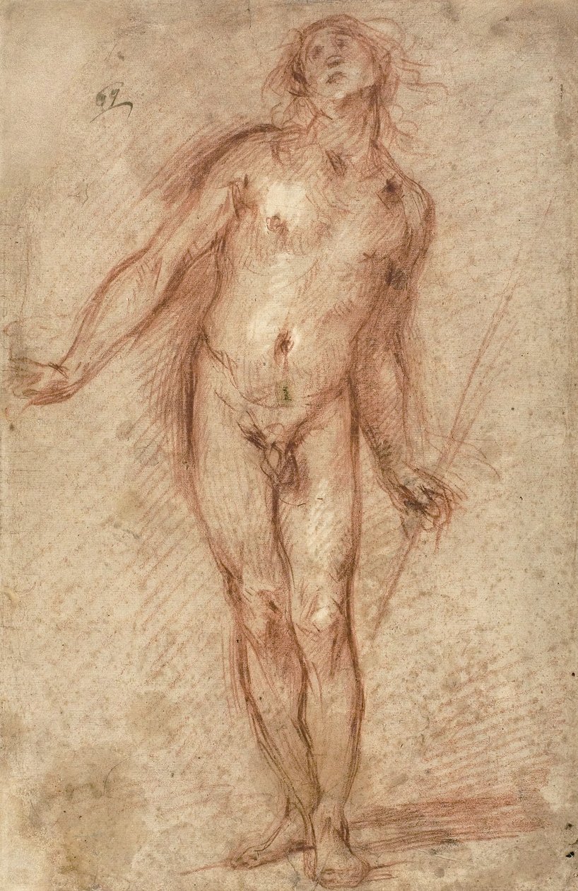 Stojící mužský akt, 1637-38 od Cecco Bravo