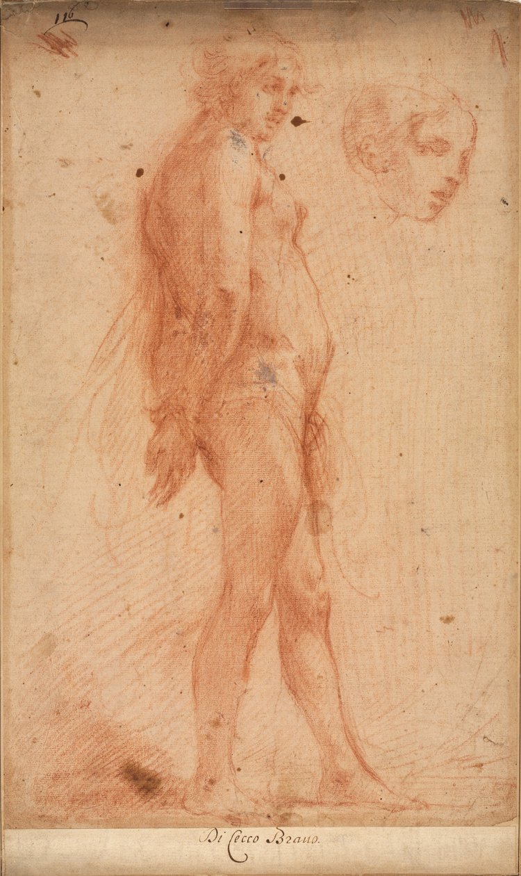 Studie stojícího mužského aktu se studií hlavy v tříčtvrtečním profilu, c. 1640. od Cecco Bravo