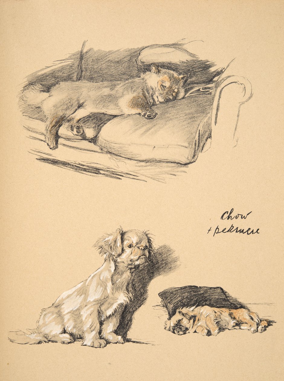Chow and Pekinese, 1930, ilustrace z jeho Sketch Book použité pro 