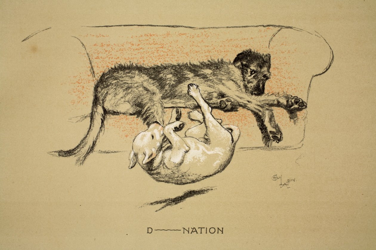 D--nation, 1930, 1. vydání 