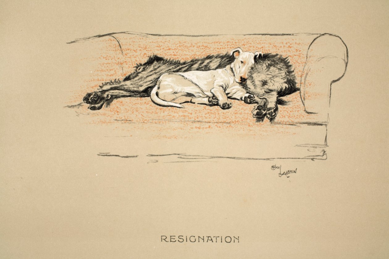 Resignace, 1930, 1. vydání 
