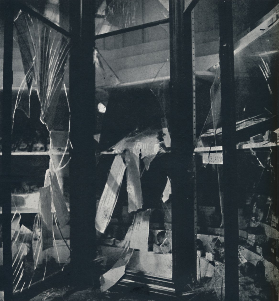 Vitríny v Natural History Museum, 1941 od Cecil Beaton