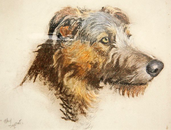 Skotský jelení honič (pastel na tónovaném papíře) od Cecil Charles Windsor Aldin