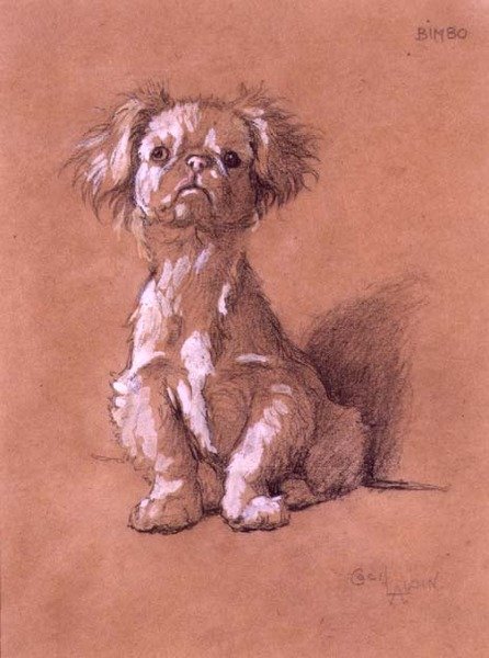 Bimbo (tužka a kvaš na papíře) od Cecil Charles Windsor Aldin