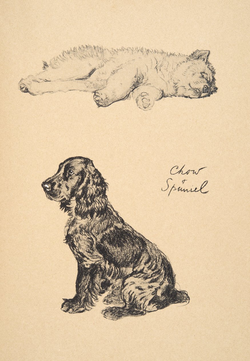 Chow and Spaniel, 1930, ilustrace z jeho Sketch Book použité pro 