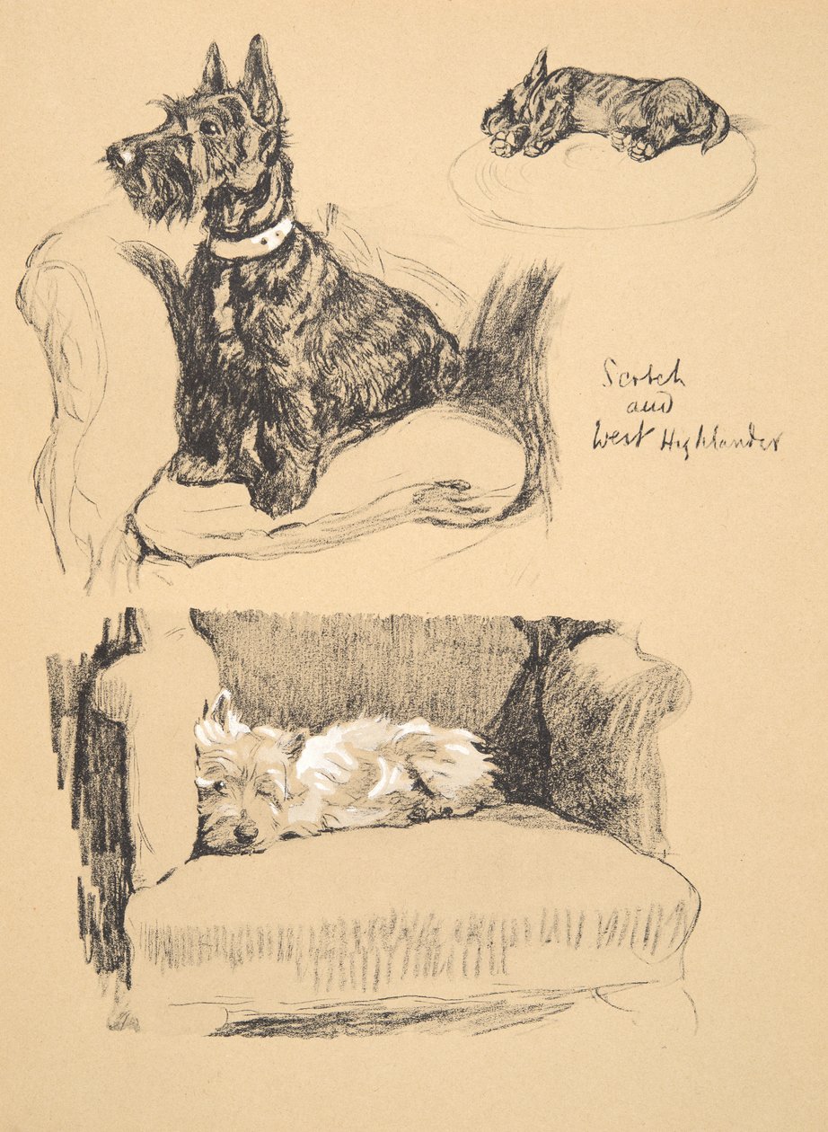 Scotch and West Highlander, 1930, ilustrace z jeho Sketch Book použité pro Just Among Friends, Aldin, Cecil Charles Windsor (1870-1935), později vydal Eyre and Spottiswoode Limited, 1934, Chal od Cecil Charles Windsor Aldin