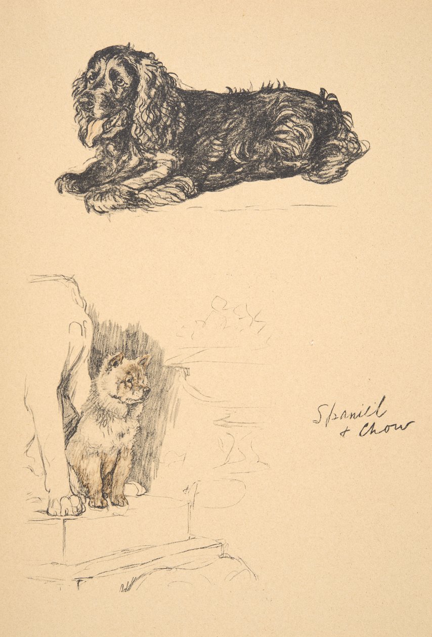 Spaniel and Chow, 1930, ilustrace z jeho Sketch Book použité pro Just Among Friends, Aldin, Cecil Charles Windsor (1870-1935), později vydal Eyre and Spottiswoode Limited, 1934, Chalk and Char od Cecil Charles Windsor Aldin