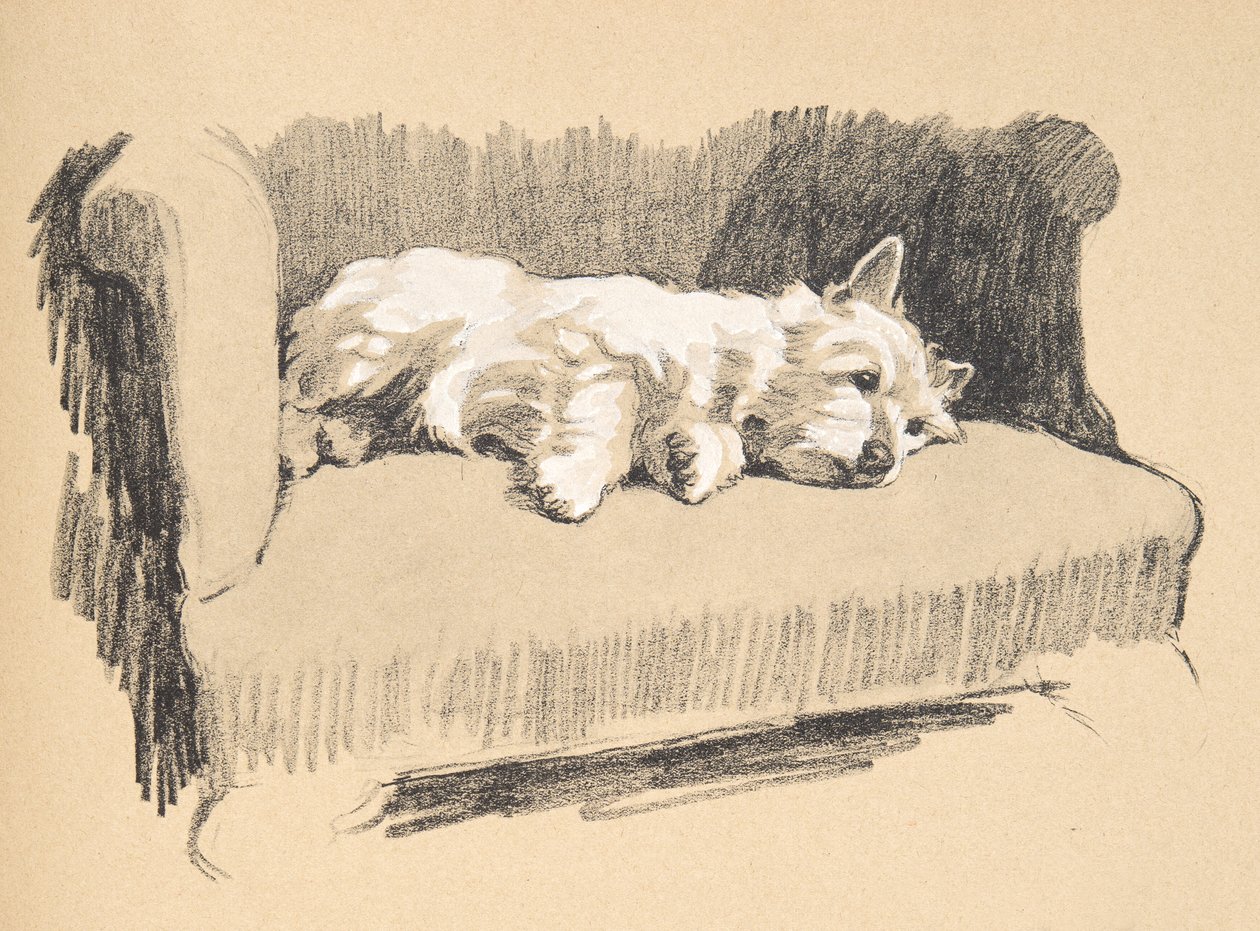 West Highlander, 1930, ilustrace z jeho Sketch Book použité pro „Just mezi přáteli“, Aldin, Cecil Charles Windsor (1870-1935), později vydal Eyre a Spottiswoode Limited, 1934, Chalk and Cha od Cecil Charles Windsor Aldin