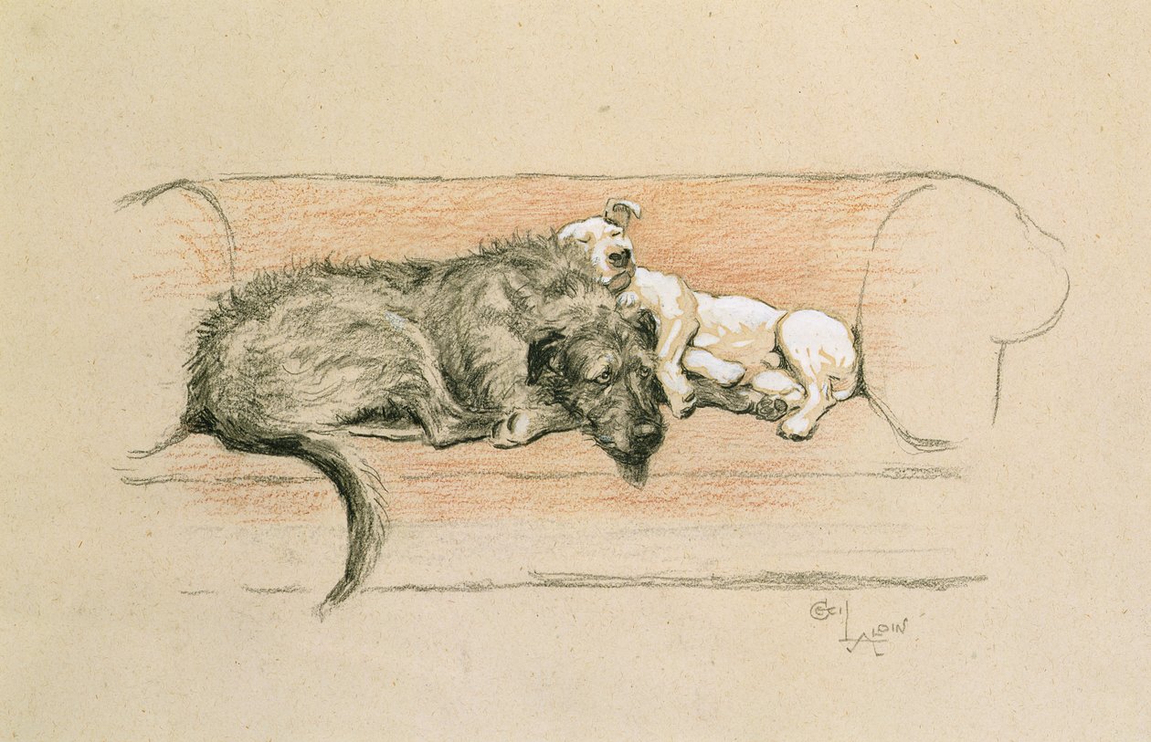 Vlkodav a bulteriér spí na pohovce (pastel na papíře) od Cecil Charles Windsor Aldin