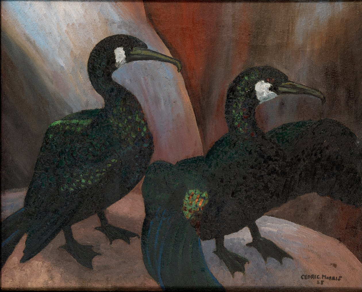 Zelení kormoráni od Cedric Morris