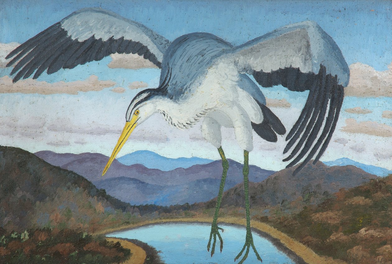 Volavka od Cedric Morris