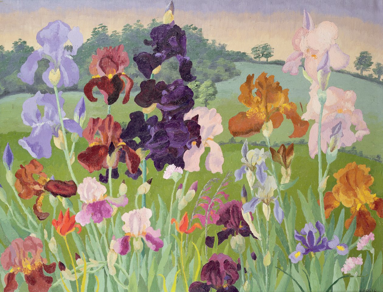 Několik vynálezů od Cedric Morris