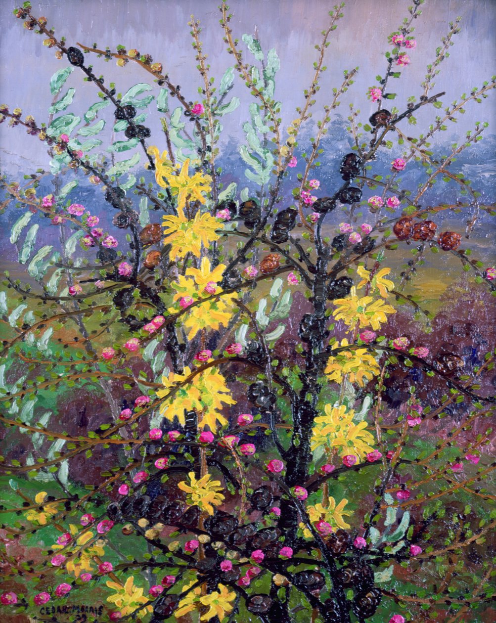 Keře (olej na plátně) od Cedric Morris