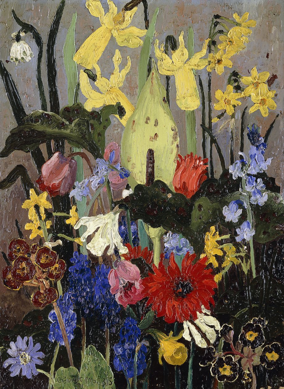 Jarní květiny od Cedric Morris