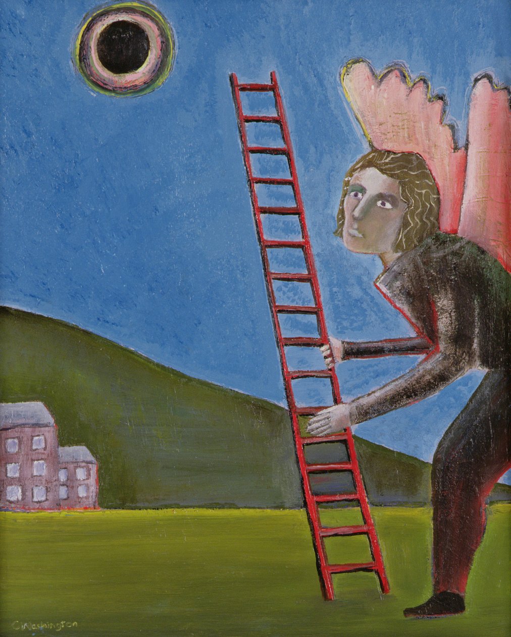 Vzestup Ikara, 1989 od Celia Washington