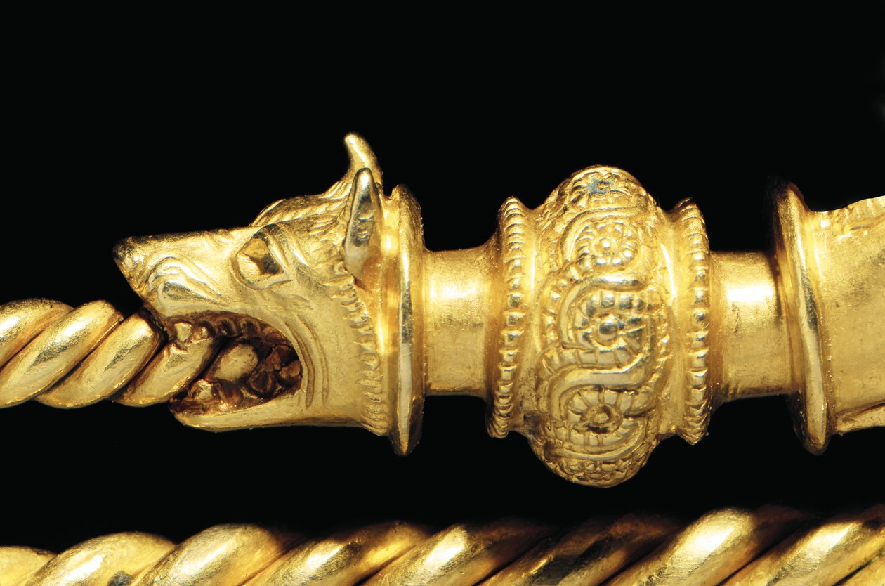 Velmi důležitá lýtková kost válečníka, detail od Celtic