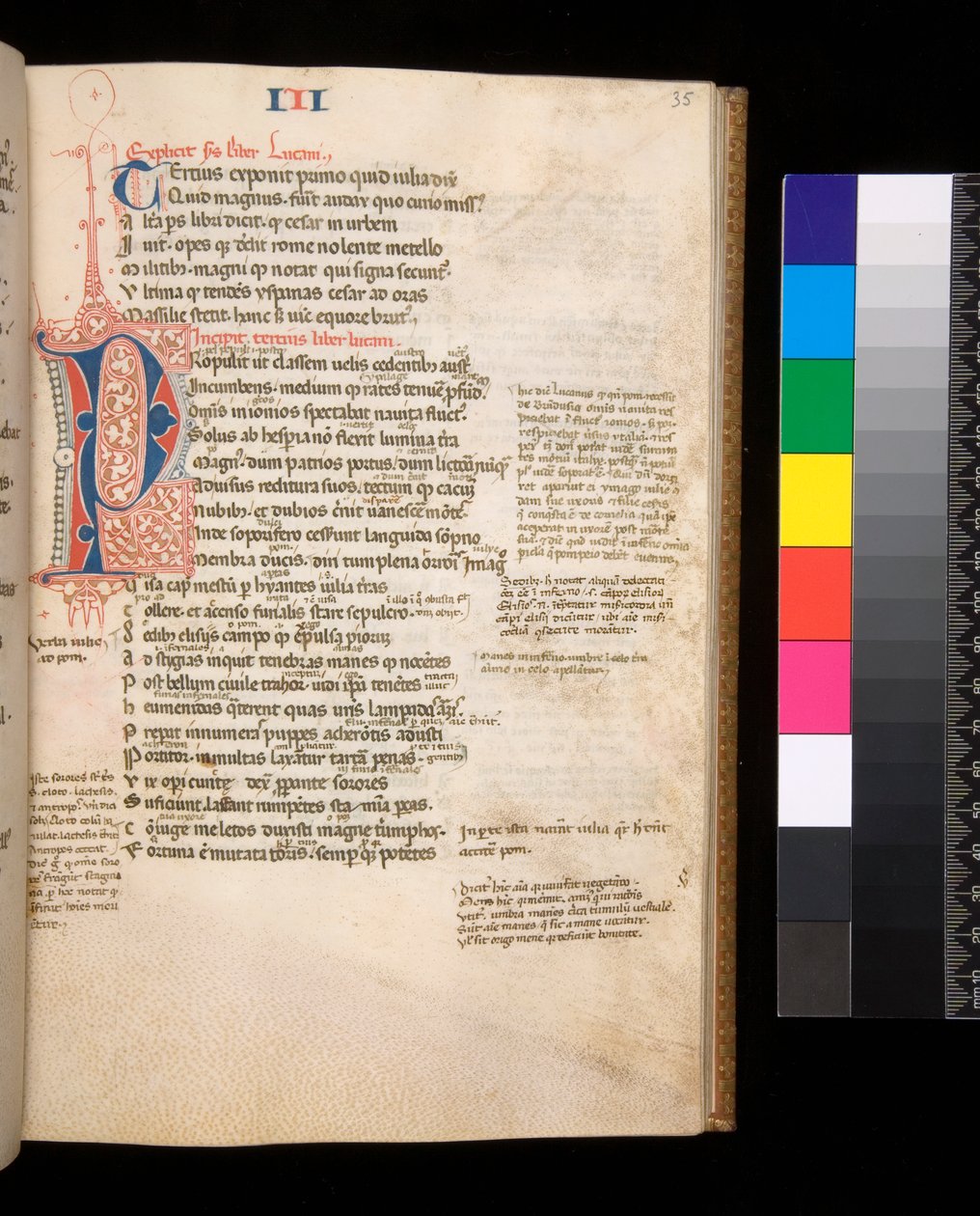 Ms 325. Lucan, Bellum Civile a další díla, f.35r. Parted Initial [P] v červené a modré barvě s kontrastním perem, c.1353 (pergamen) od Central Italian School