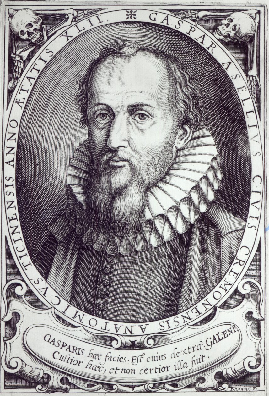 Gaspare Aselli od Cesare Bassano