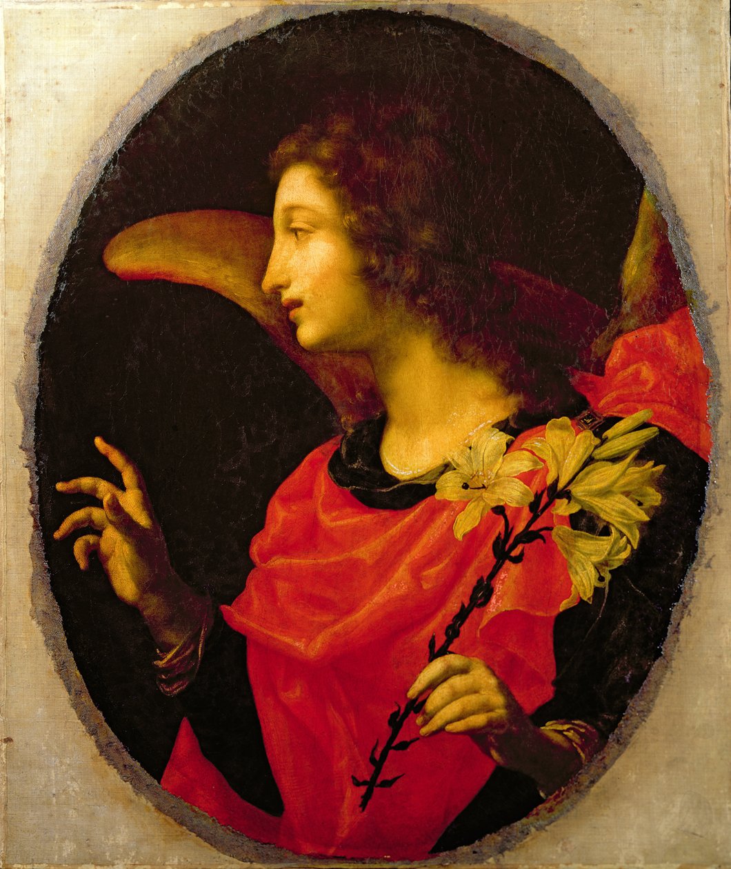 Oznámit Anděla od Cesare Dandini