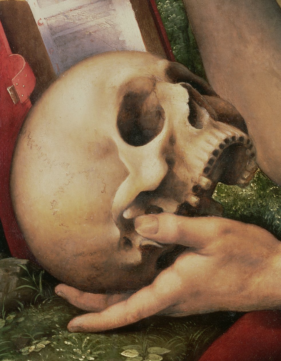 Svatý Jeroným, detail lebky (detail 112517) od Cesare da Sesto