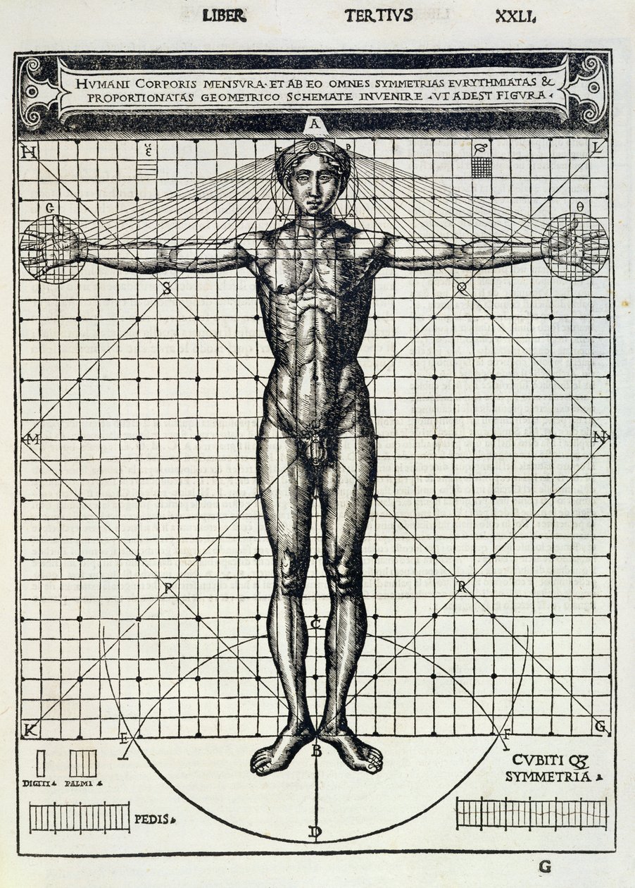 Ideální proporce založené na lidském těle, z „Di Lucio Vitruvio Pollione de architectura a libri dece“, Gotardo de Ponte Como, 1521 od Cesare di Lorenzo Cesariano