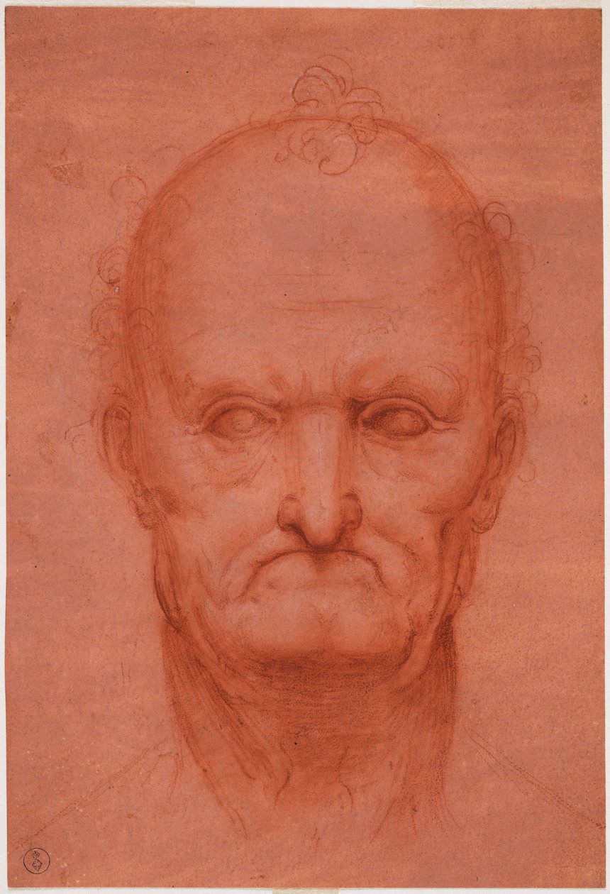 Hlava starého muže, c. 1515 (krev na připraveném červeném papíře) od Cesare da attr.to Sesto