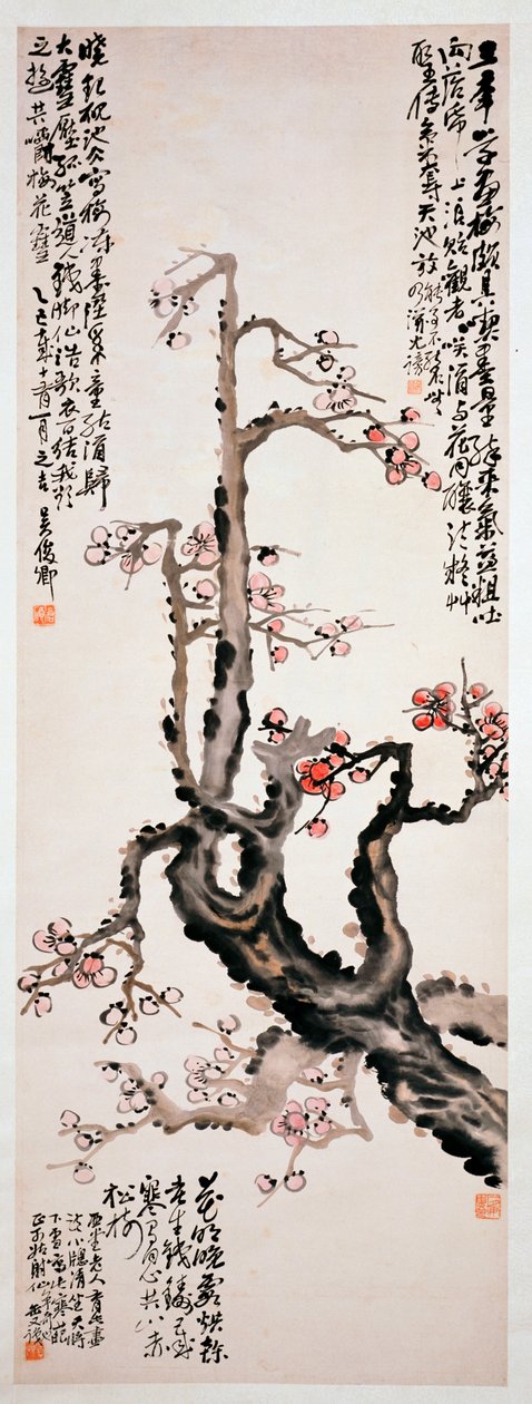 Červené květy švestky, 1905 od Changshuo Wu