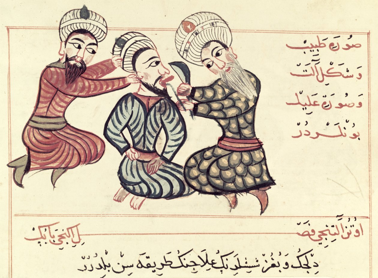 Ms Sup Turc 693 fol.76v Excize ranuly zpod jazyka, 1466 od Charaf-ed-Din