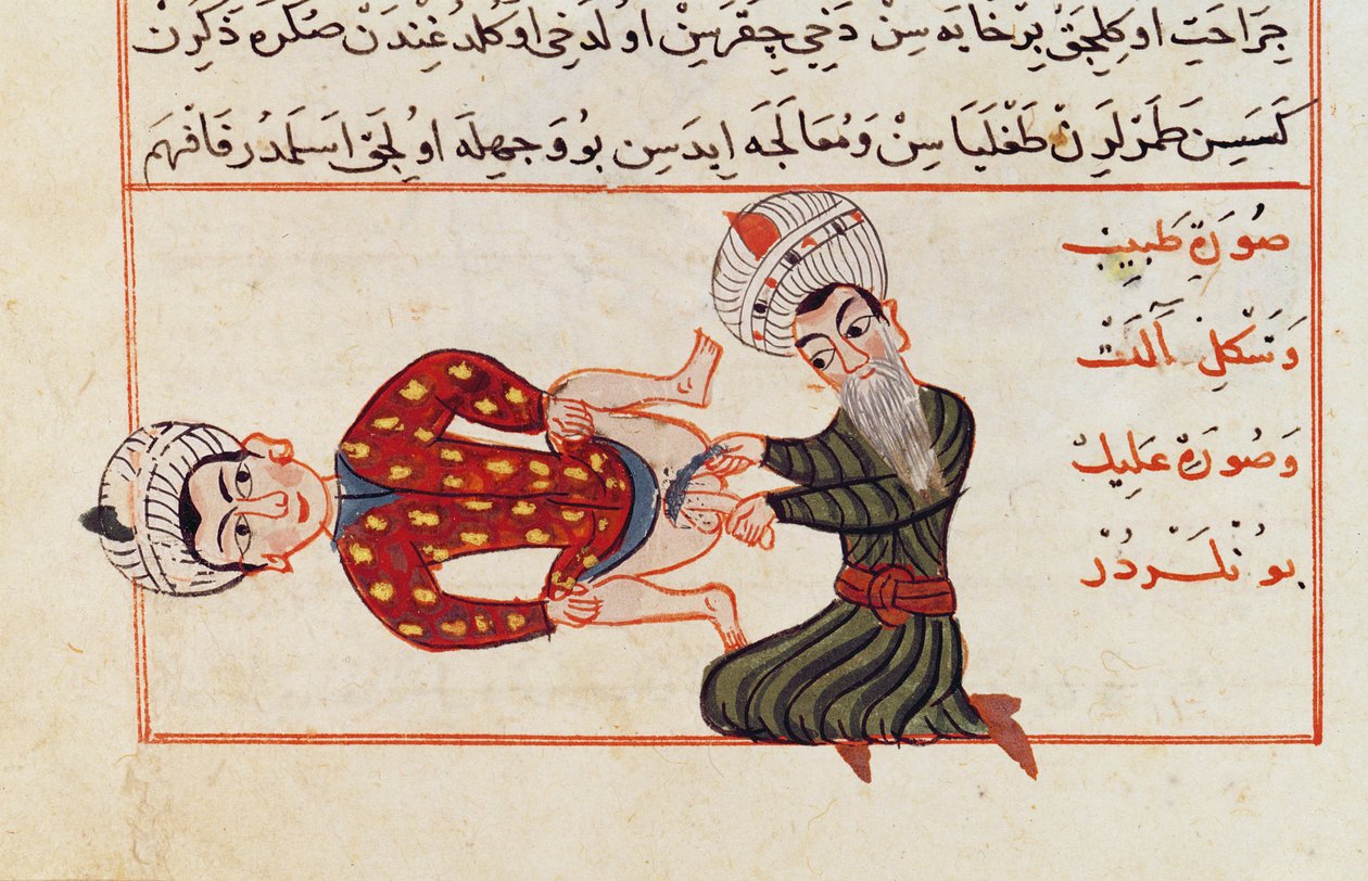 Ms Sup Turc 693 fol.76v Operace pro kastraci, 1466 od Charaf ed Din