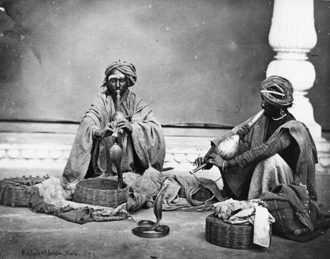 Zaříkávače hadů, kolem roku 1863 od Charles Robertson