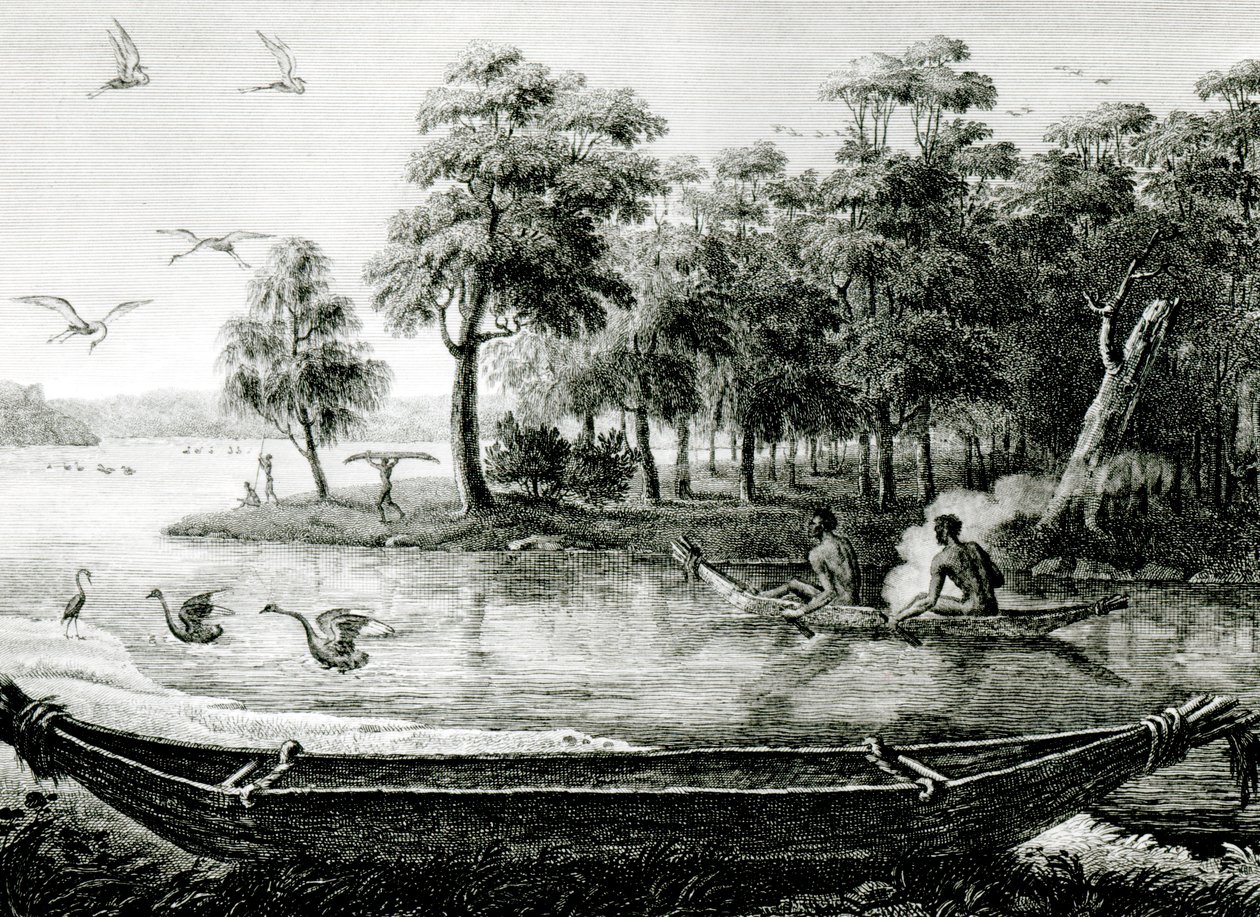New Holland: Nový Jižní Wales od Charles Alexandre Lesueur