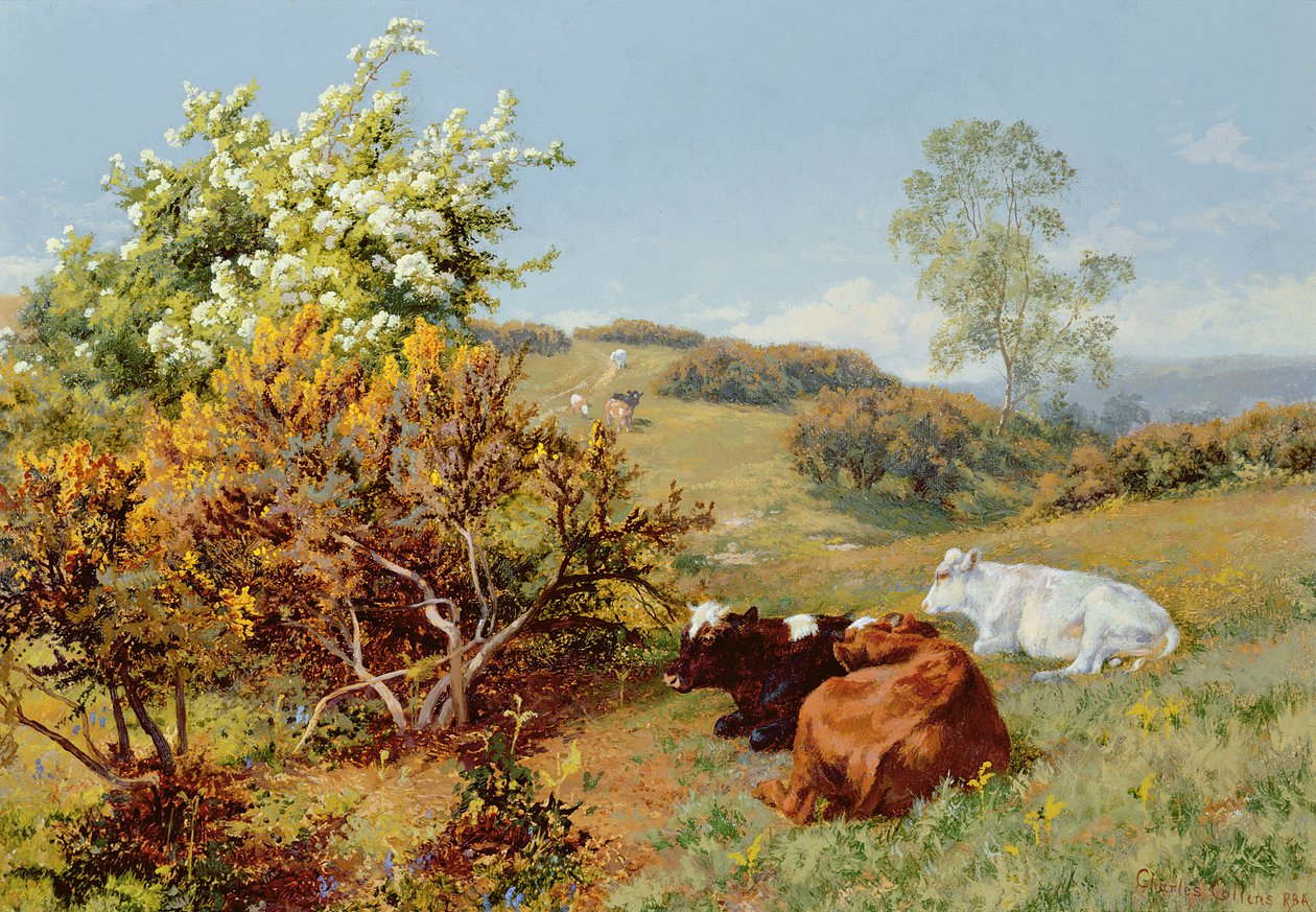 V Nower, Dorking od Charles Collins