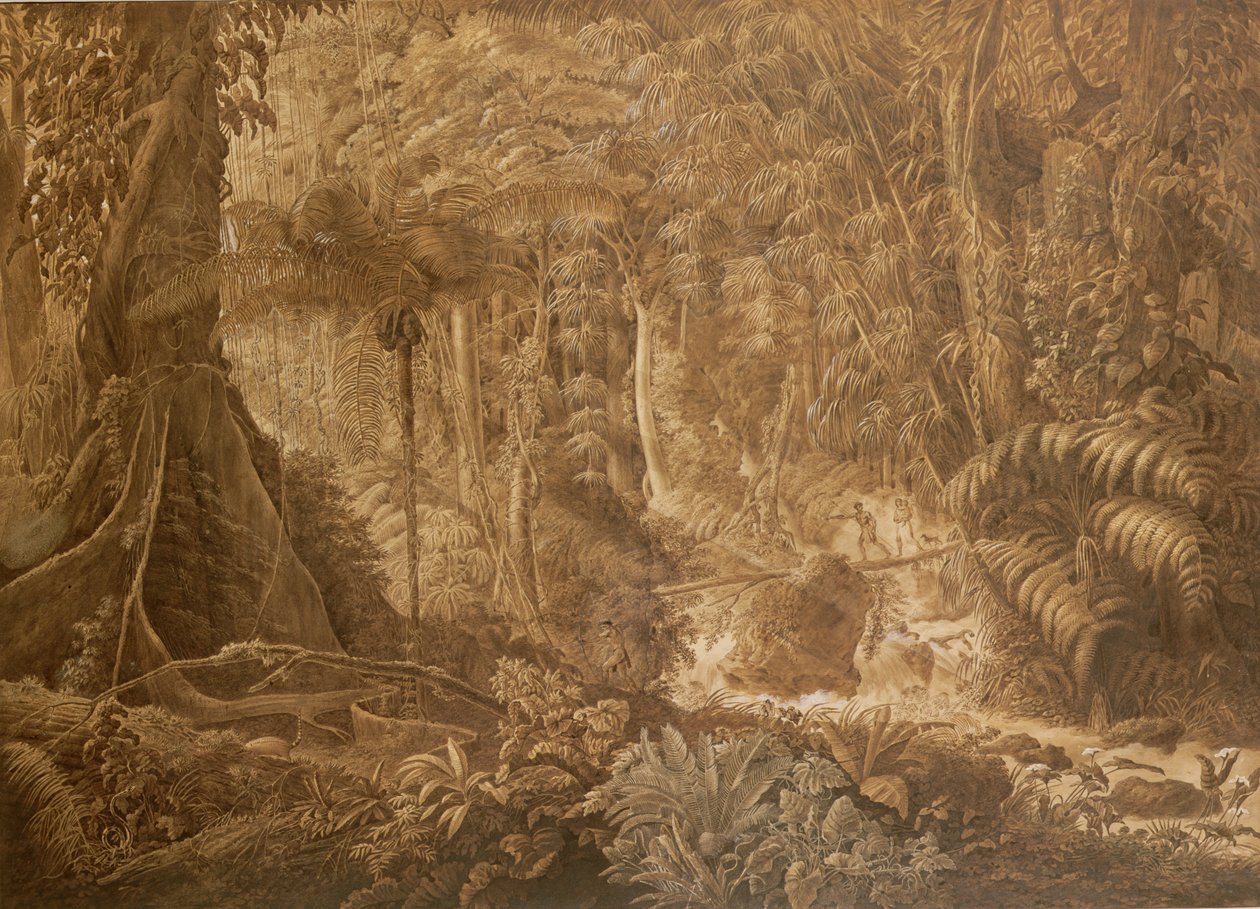 Brazilský deštný prales, kolem roku 1819 od Charles Comte de Clarac