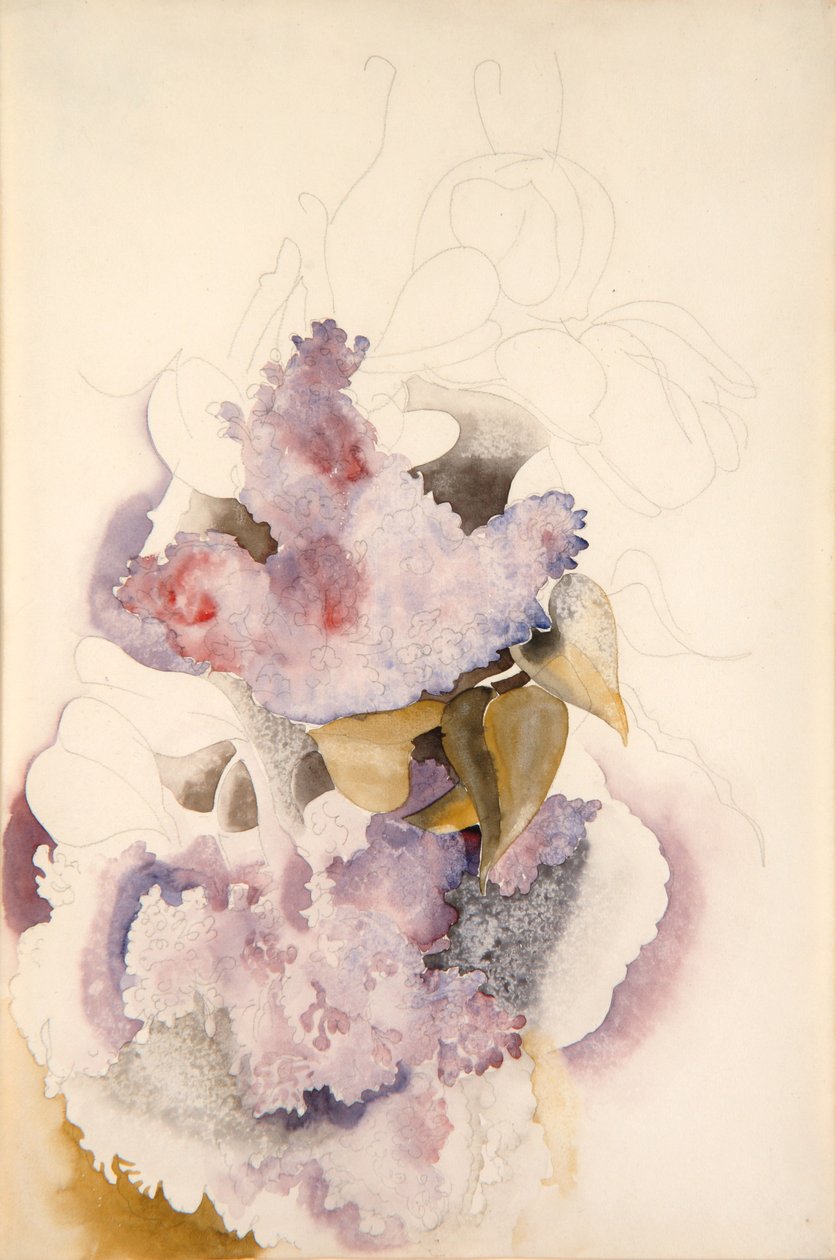 Šeříky, kolem roku 1917 od Charles Demuth