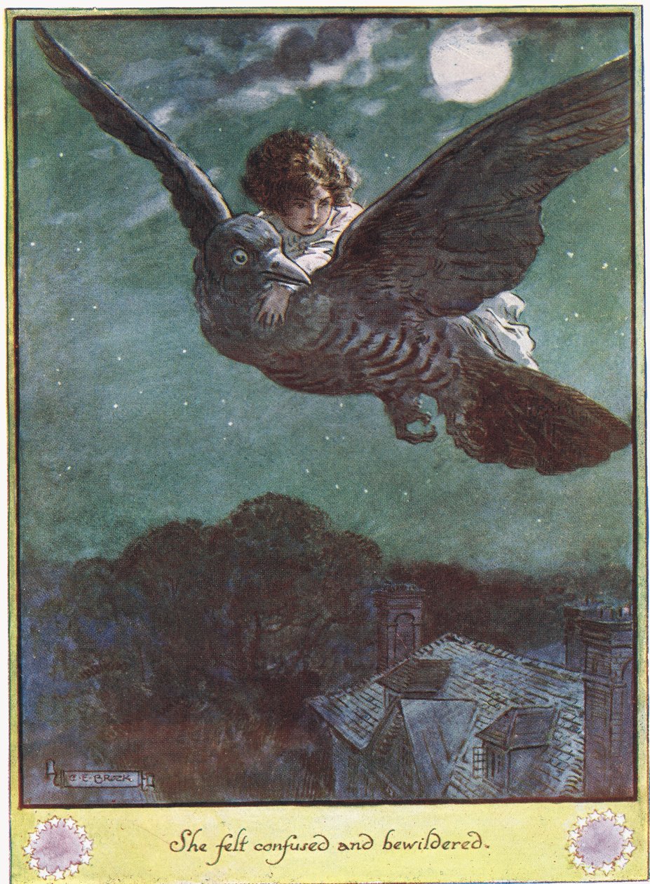 Flight on the Bird, ilustrace z 