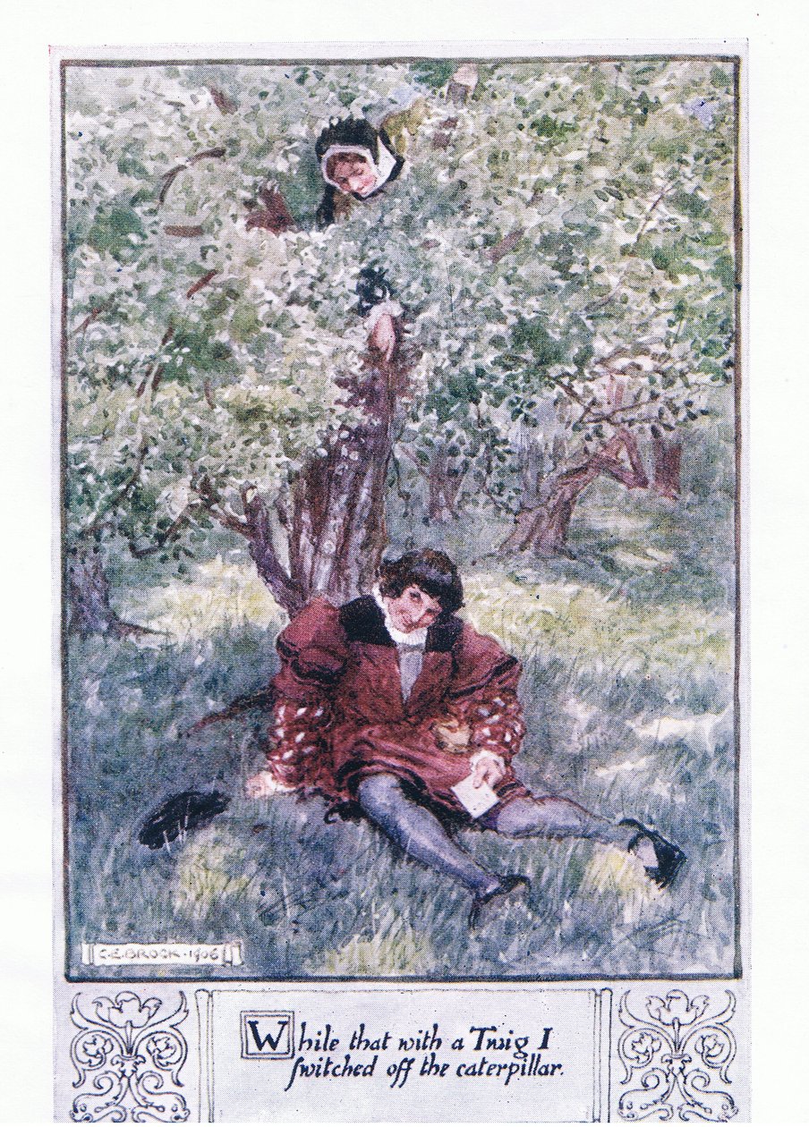 Přitom jsem větvičkou vypnul housenku od Charles Edmund Brock