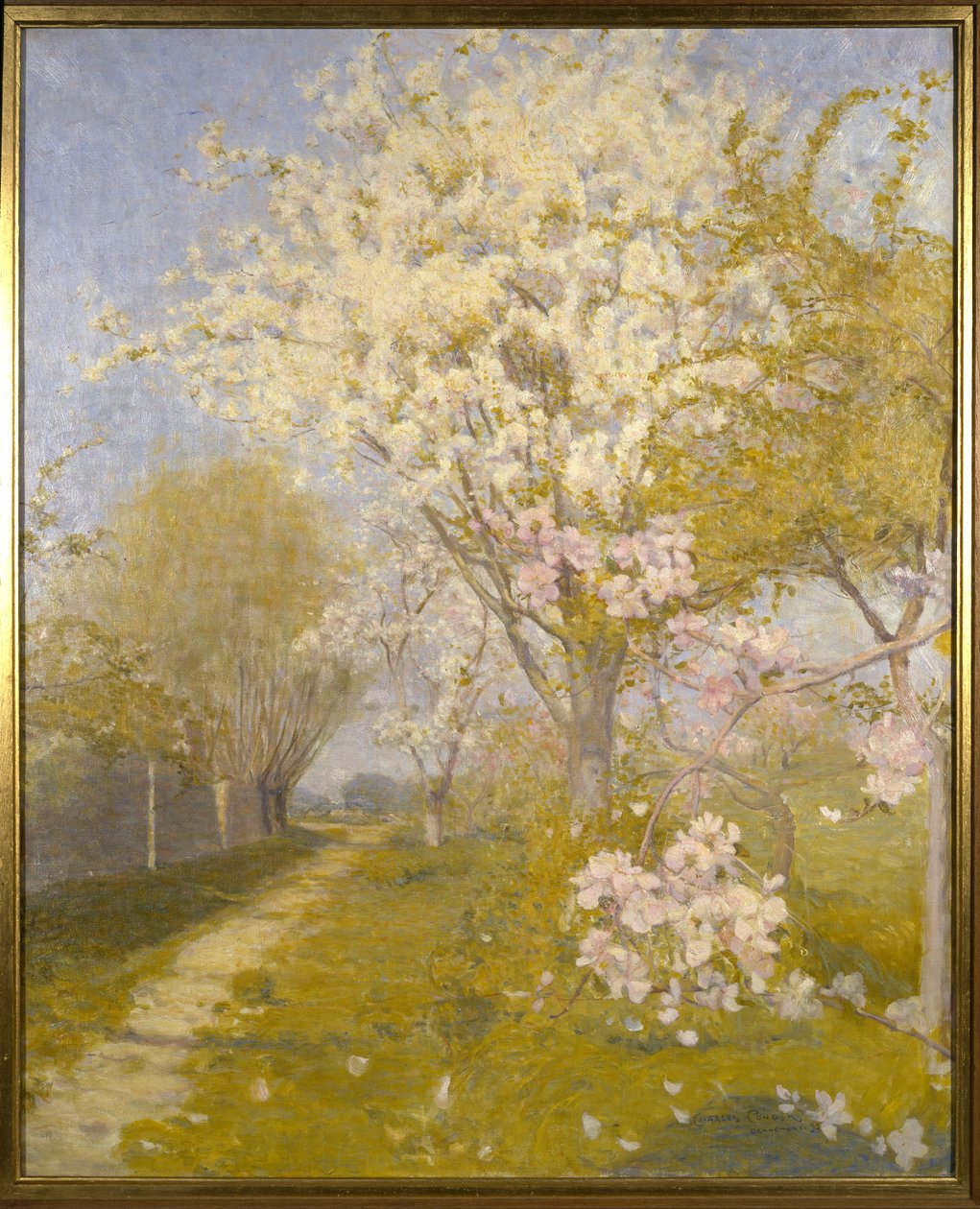 Květ jabloně v Dennemontu, 1893 od Charles Edward Conder