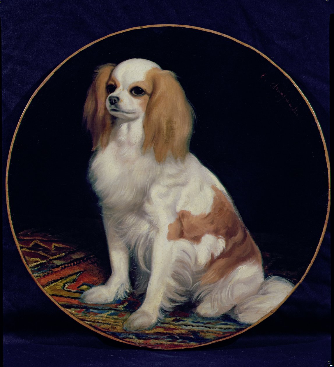 King Charles španěl od Charles Emile Callande de Champmartin