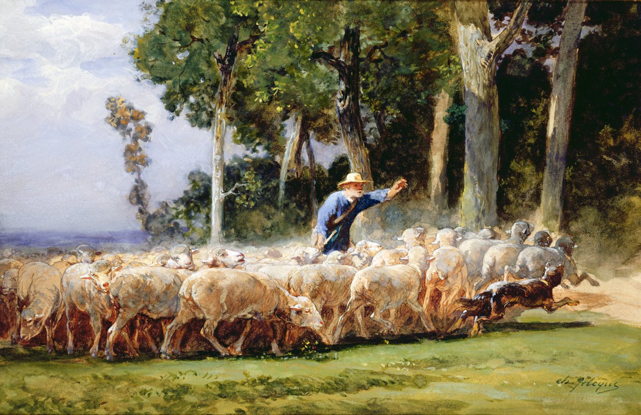 Pastýř se stádem ovcí (wc na papíře) od Charles Emile Jacques