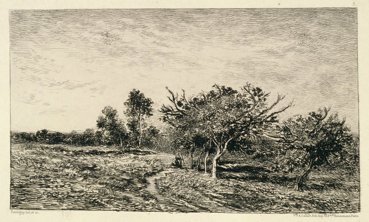 Jabloně v Auvers (Pommiers a Auvers), 1877 od Charles Francois Daubigny