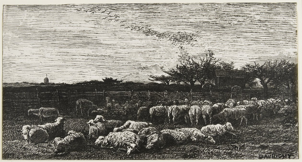The Grand Parc a Moutons, 1862 od Charles Francois Daubigny