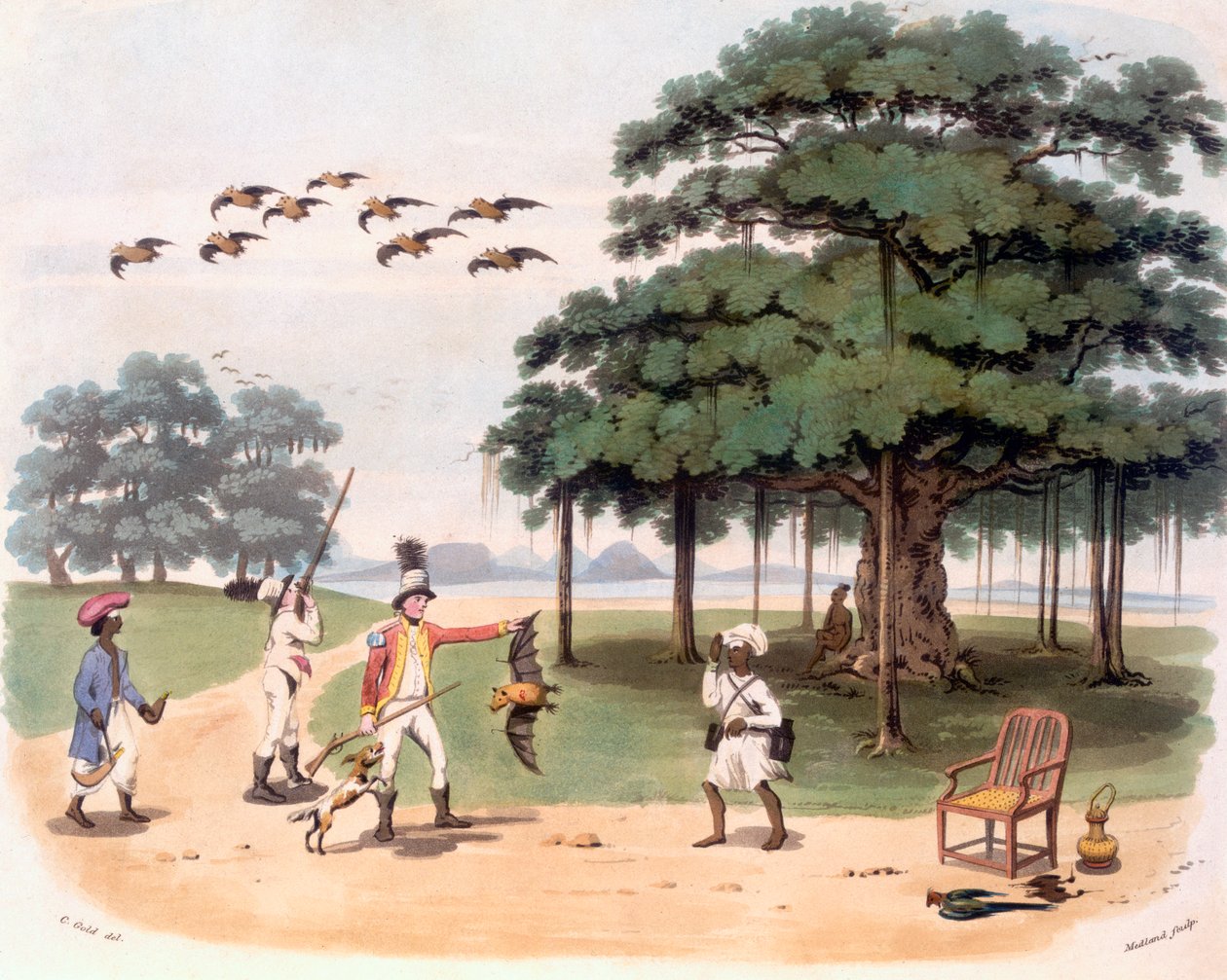 Létající lišky v Banyantree, asi 1791-98 (barevná akvatinta) od Charles Emilius Gold