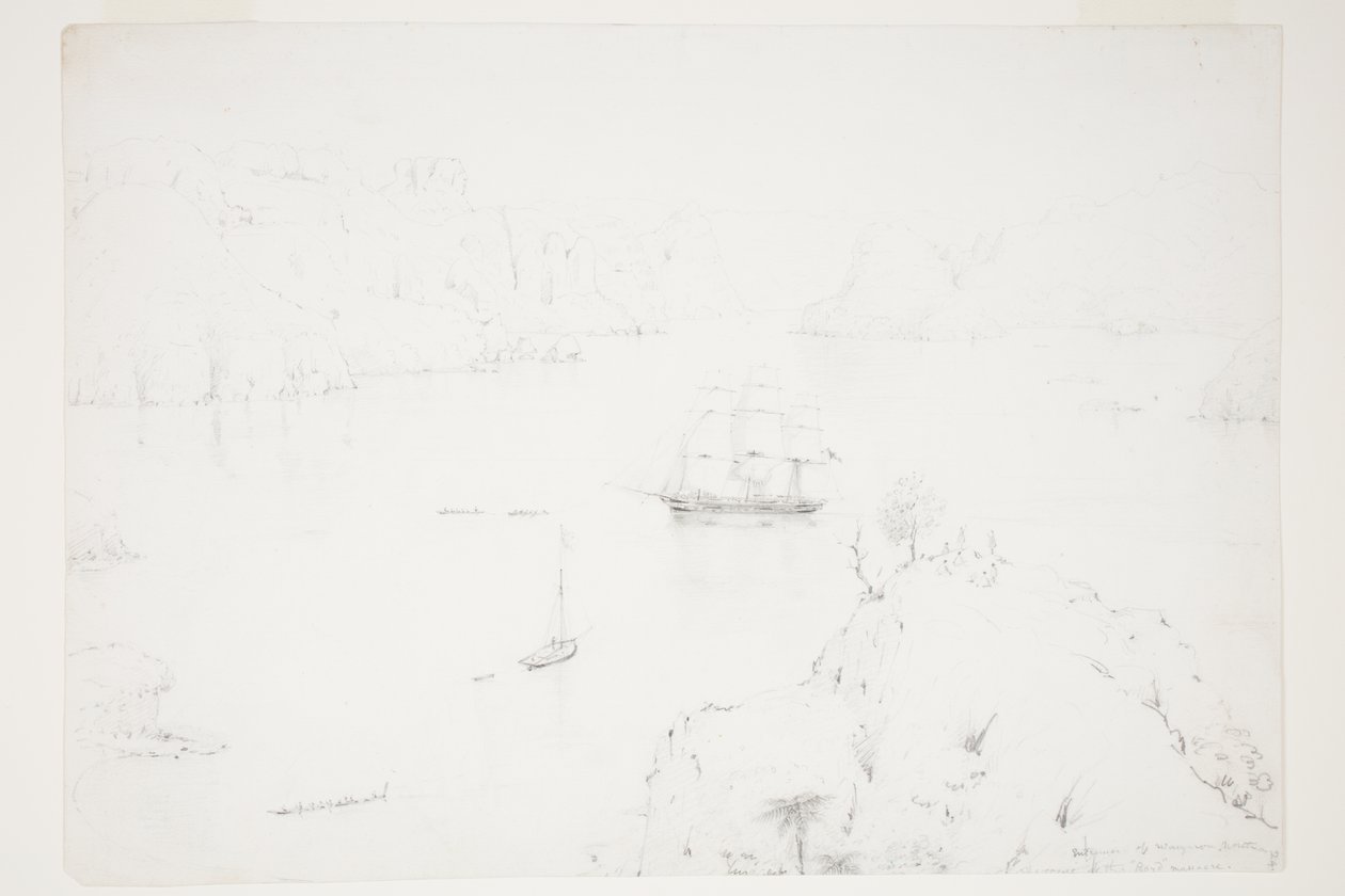 Vchod do Wangaroa, sever. Scéna Boydova masakru od Charles Heaphy