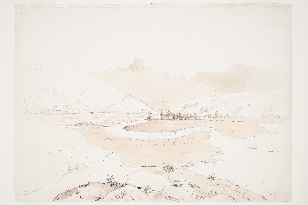 Přístav Coromandel ve Waiau Valley od Charles Heaphy