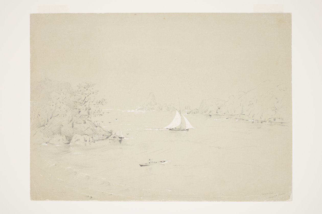 Pobřeží Wangaaihu Wangaroa od Charles Heaphy