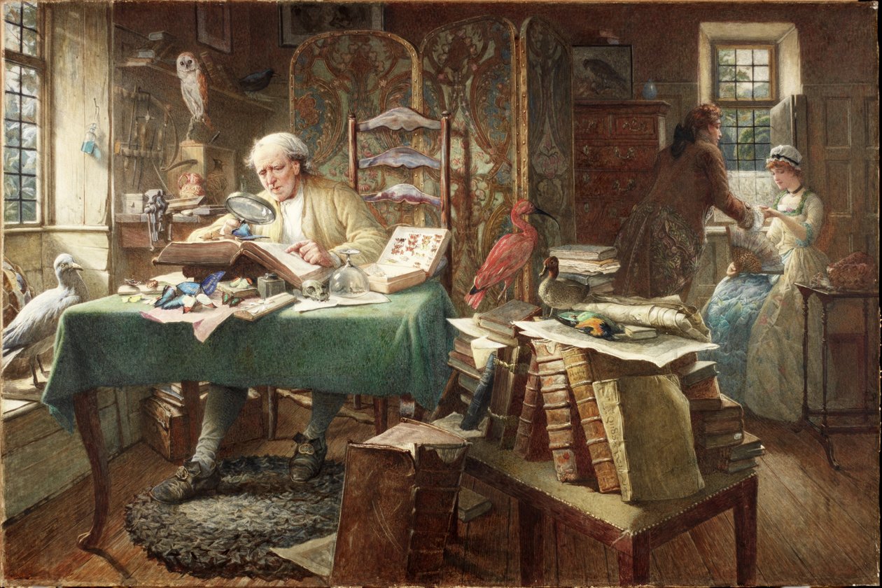 Grubs and Butterflies (akvarel na papíře) od Charles J. Staniland