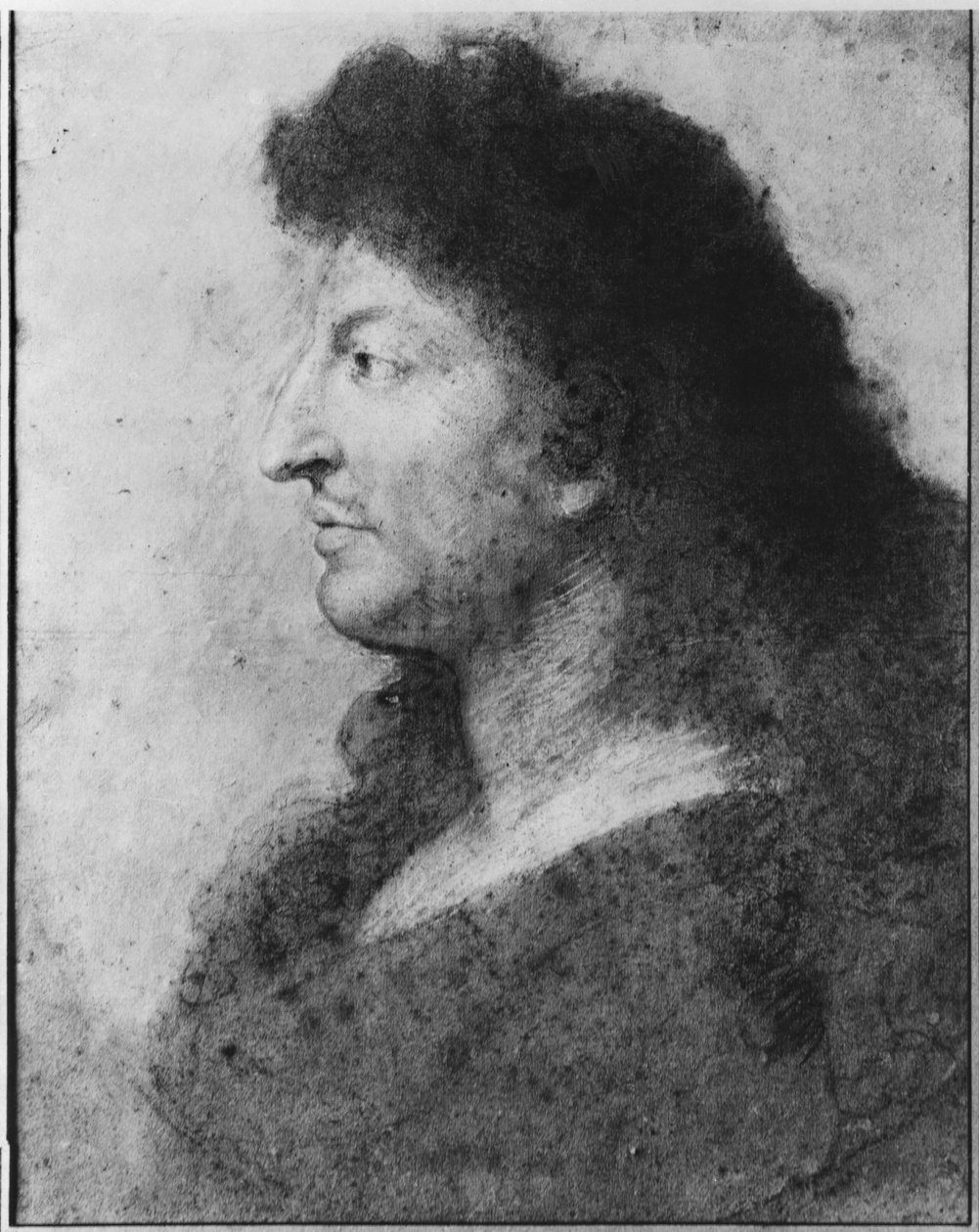 Portrét Ludvíka XIV. z profilu, s holým krkem a dlouhými vlasy, kolem 1678 (pastel a pierre noire na šedobéžovém papíře) (viz také 177108) od Charles Le Brun