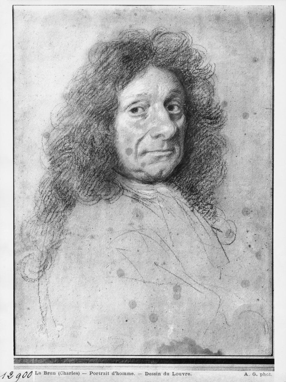 Portrét muže, otočený doprava (pastel a uhel na šedém béžovém papíře) od Charles Le Brun