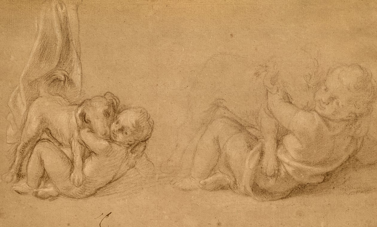 Studie dítěte se psem (tužka a pastelka na papíře) od Charles Le Brun