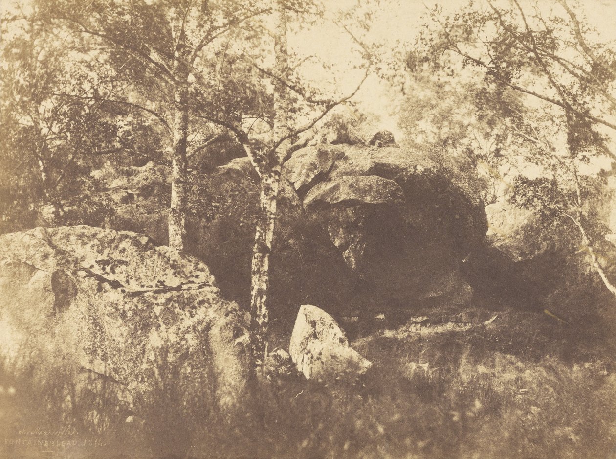 Fontainebleau od Charles Marville